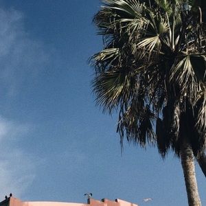 Meet your Posher, Jaden